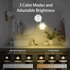 Night Light Socket with Motion Sensor Indoor - [Pack of