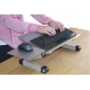 WorkEZ Keyboard and Mouse Tray ergonomic on-desk riser adjustable height