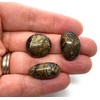 Stromatolite Small Crystal Tumbled Stones - 3 Pc