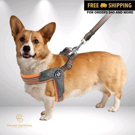 Zippy Dynamics STRIDE Step-in Harnesses Pet Accessories - Color: Orange