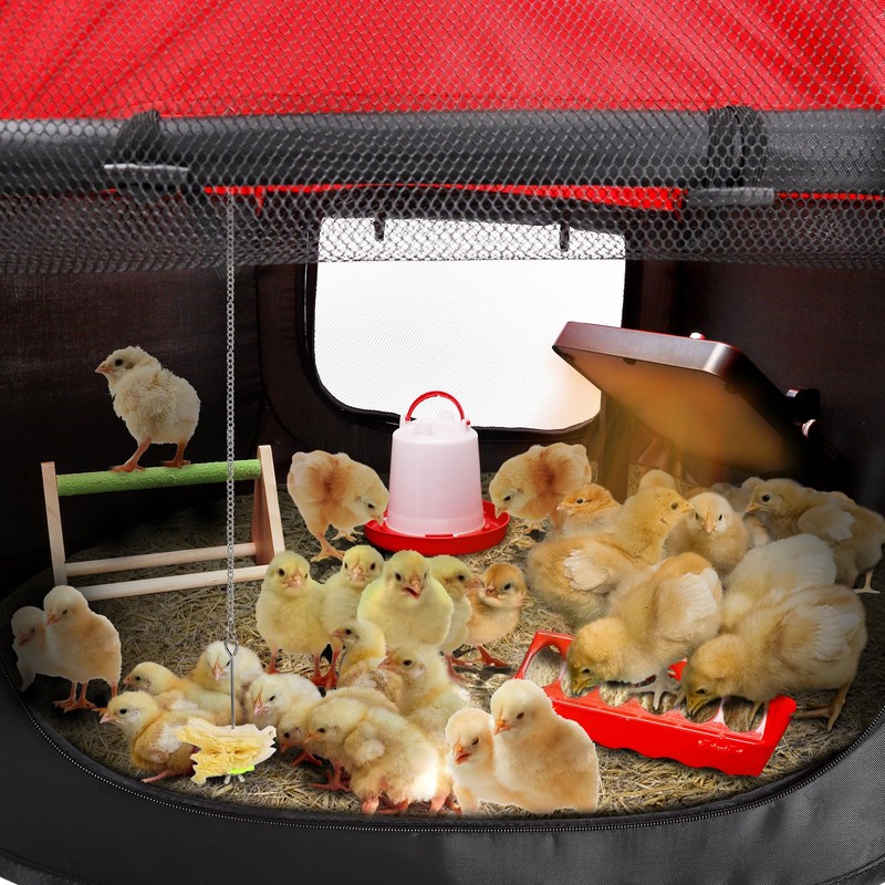 Brooder Box for Chicks - Complete Chicken Brooder Kit with