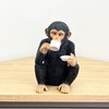 Alfie Francis 17.5cm Tall Cheeky Tea Drinking Monkey Ornament Figurine