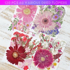 120PCS Dried Pressed Flowers for Crafts, Dried Flower Leave Natural with Tweezer for Resin Mold Scrapbooking DIY, Epoxy Resin Jewelry Molds, Candle, Soap Making, Nails Décor
