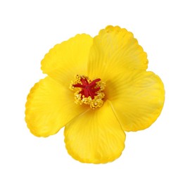 3pcs Hawaiian Hibiscus Flowers Artificial Flowers for Hawaiian Luau Tabletop Decoration Party Favors Supplies - Yellow