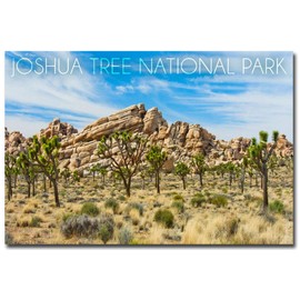 Joshua Tree National Park Blue Sky & Rocks Refrigerator Magnet Size 2.5" x 3.5"
