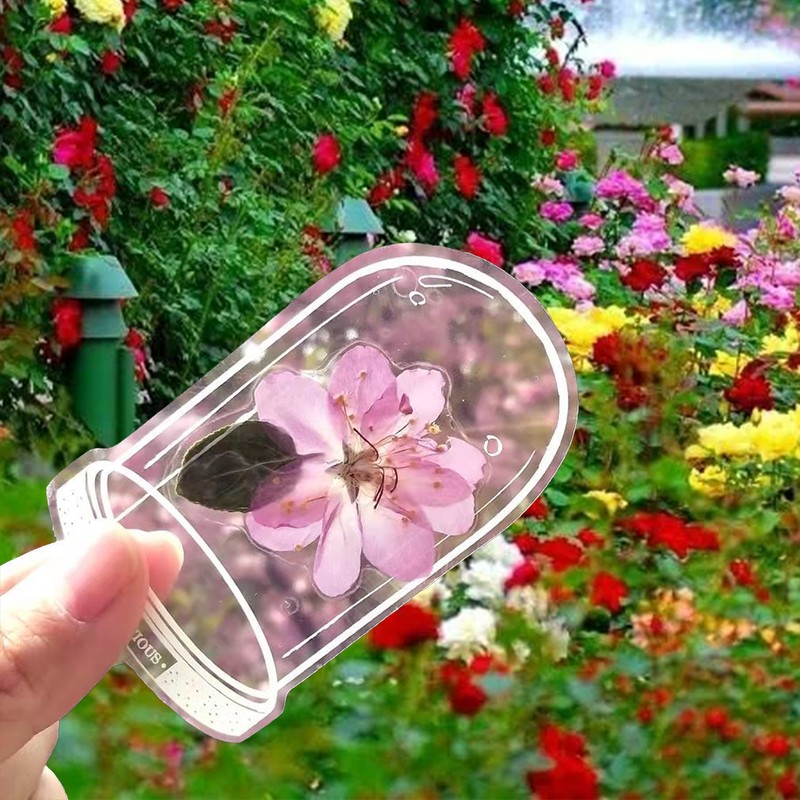 DIY Handmade Homemade Ins Bookmark Transparent Dried Flower Bookmarks