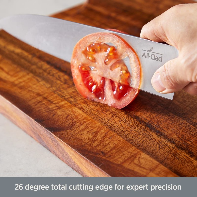 All-Clad Forged German Stainless Steel Chef Knife 8 Inch, Fully