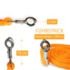 Lead rope with panic hook for horse in various stylish