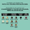 L'Oreal Paris Magic Root Cover Up Concealer Spray for Blondes,