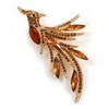 Sparkling Light Amber Coloured Crystal Fire-Bird Brooch (Gold Tone)