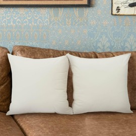 Betadistor Luxury Dutch Velvet Cushion Covers: Decorations Throw Pillow Case for Garden Livingroom Couch Patio Sofa 18X18 (Set 2) 528-0635