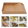Reptile Feeding Bowl, Turtle Bathtub with Steps, Feeding Bowl, Climbing