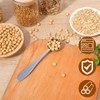 Matwsec Teaspoon Measuring Spoon 5ml Stainless Steel Teaspoon Measure Scoop
