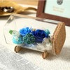 TEATSIGHT Preserved Flower Bottle Gift Boxed Soleil (Roses, Blue)