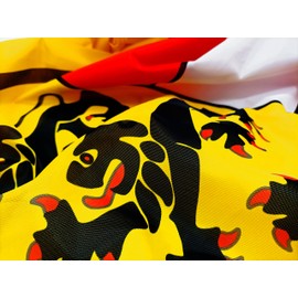 FLAGLY Premium Flag Carinthia 100 x 150 cm - 115 g/m² Fabric Weight - Printed, Robust and Weather-Resistant Gloss Polyester with Eyelets (100 x 150 cm, Carinthia)