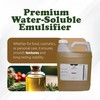 iSolubol Water-Soluble Emulsifier with Polysorbate– Made in The USA –
