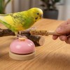 DQITJ 4 Pcs Bird Bell Toy Stainless Steel Training Bell