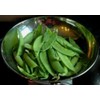 MAMMOTH MELTING SUGAR PEA! GREAT TASTE! 50 SEEDS! EAT THE
