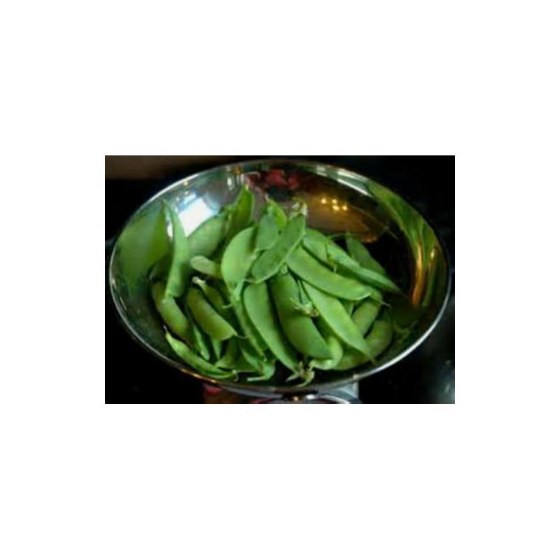 MAMMOTH MELTING SUGAR PEA! GREAT TASTE! 50 SEEDS! EAT THE