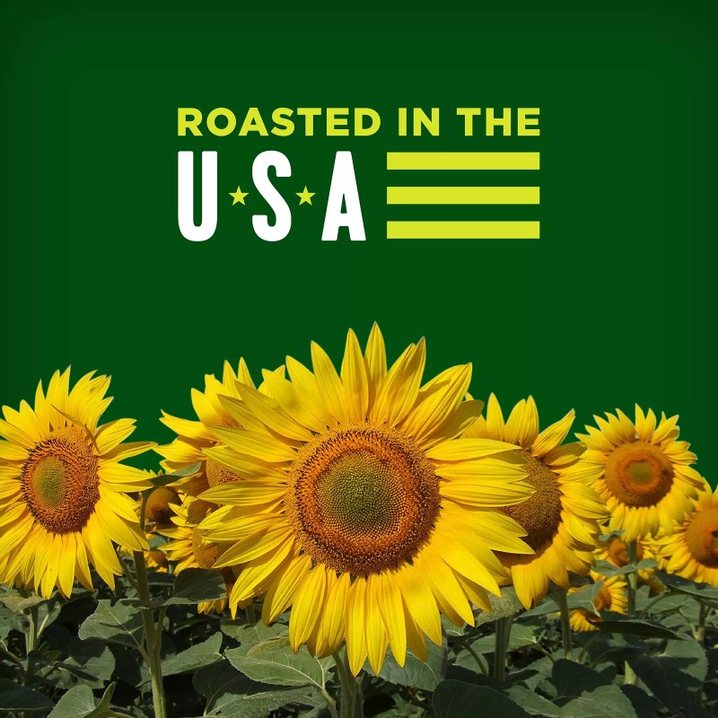 BIGS Vlasic Dill Pickle Sunflower Seeds 12 Pack 5.35 Ounce