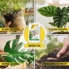 HARRIS Neem Oil Spray for Plants, Cold Pressed Ready to