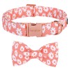 Unique style paws Dog Collar with Bow Tie Pink Daisy