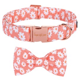 Unique style paws Dog Collar with Bow Tie Pink Daisy Summer Dog Collar for Small Medium Large Dogs with Adjustable Metal Buckle -M