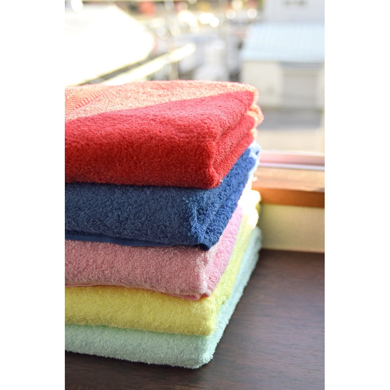 Domestic Elephant Deer Color