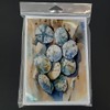 Caroline's Treasures DAC2821GCA7P Sand Dollars Greeting Cards Pack of 8