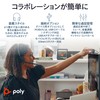 Poly Blackwire 8G0Z0AA 3325 USB-C / 3.5mm Wired Binaural Headset,