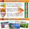 ウコン 金の鬱金 (粉末) 沖縄県産無農薬ウコン100％使用 生姜エキス配合 30g×3P