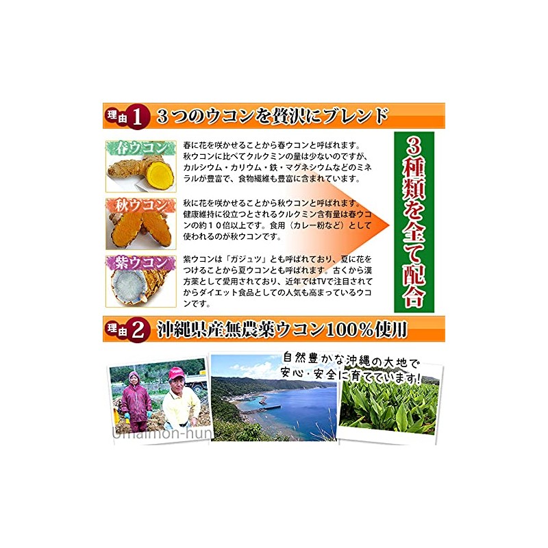 ウコン 金の鬱金 (粉末) 沖縄県産無農薬ウコン100％使用 生姜エキス配合 30g×3P