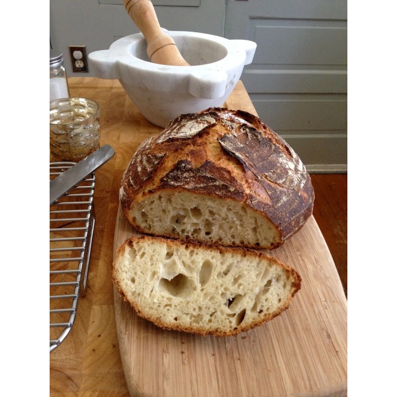 Heritage Sour SAN FRANCISCO SOURDOUGH STARTER DEHYDRATED ACTIVE STRONG SOUR