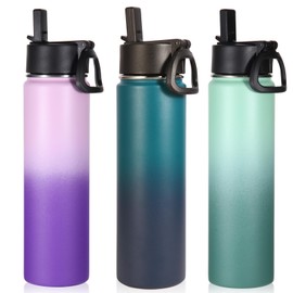 Volhoply 24oz Insulated Water Bottle With Straw Bulk 3 Pack,Metal Wide Mouth Water Bottles With Handle Keep Cold,Reusable Double Wall Thermos,Powder Coated Sport Bottle For Holder(Assorted,3 Count)