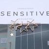 Aneneiceera Hollow Out Star Hair Clip Gold Hair Clip Tassel
