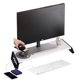 Wintline Monitor Stand Riser,Office Desk Accessories,Computer/Laptop Stand for Laptop with USB and Charging Prot