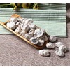HELENOU666 Preserved Prunes Dried Salted Plums for Drinks 咸话梅