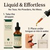 Lymphatic Drainage Drops, Lymphoria Drops, Lymphatic Drainage Drops, Lymphoria Lymphatic