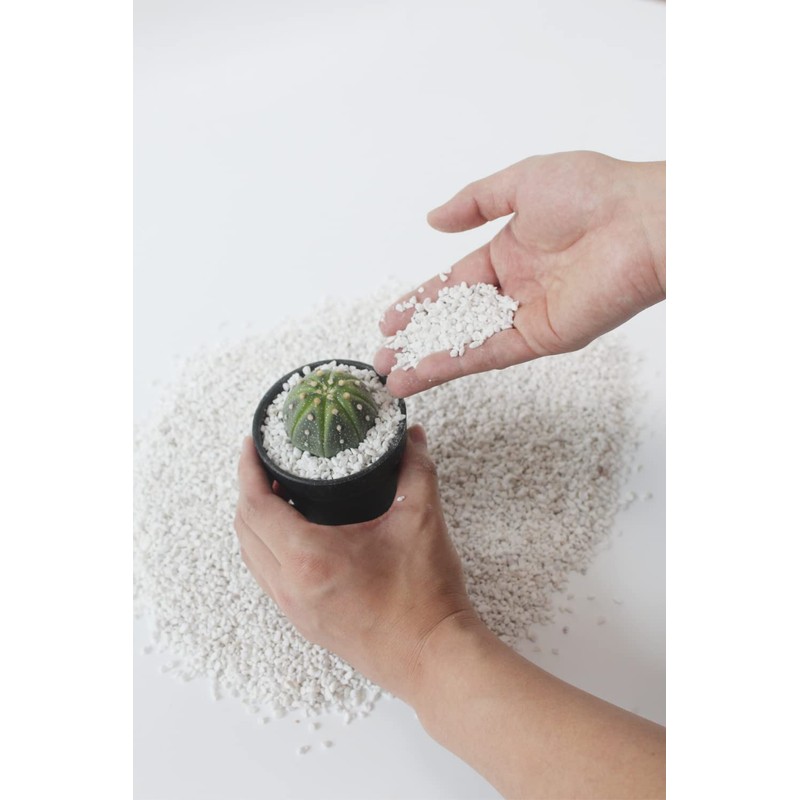 2 Quart Organic Perlite Horticultural Soil Amendment for Plants and