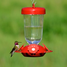 Perky-Pet 135TF “Perky’s Finest” 16 oz Plastic Top Fill Hummingbird Feeder, Red