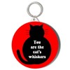 Gift Insanity YOU ARE THE CATS WHISKERS RED BACKGROUND SHORT