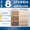 Schwarzkopf Blonde Hair Dye