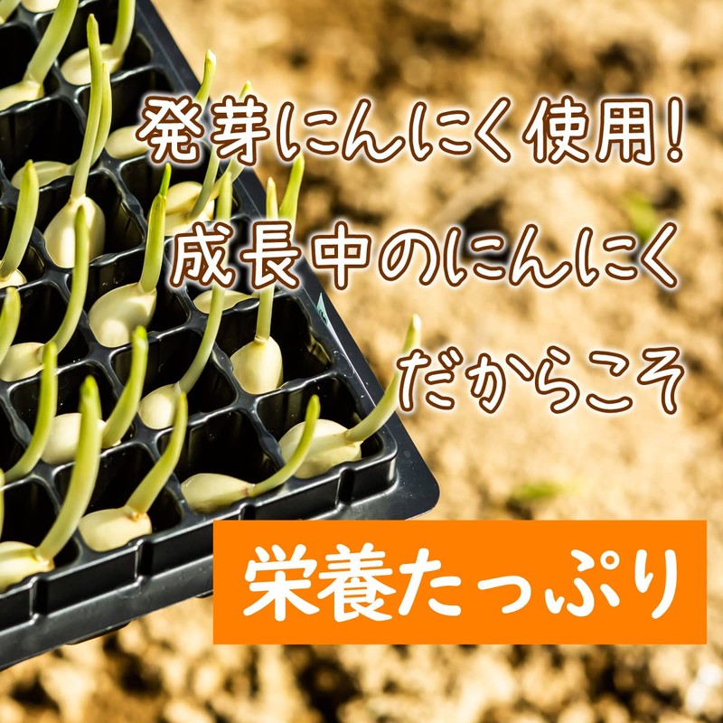 鉄子の発芽にんにく卵黄 40粒入 10日分 お試し 完全無添加 佐賀県産 スプラウトにんにく 有精卵 ミヤハラ農園