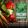 Gardeners Basics, Kale Seeds for Planting, Heirloom, Non-GMO Vegetable Variety