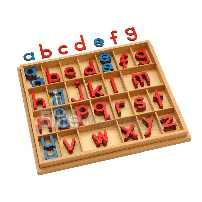 Elite Montessori Wooden Movable Alphabet with Box Preschool Spelling Learning...