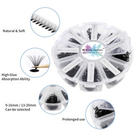 Premade Volume Fan for Eyelash Extension: 500 Handmade Fans, Loose Lash, Wend Lashes, SM0207-Black-500-30P-D-9-16mm