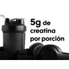 Creatina Monohidratada y Micronizada 300grs. Alka Balance