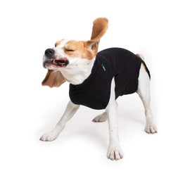 Suitical Recovery Suit Dog, Small, Black