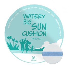Sun Cushion Sun Cushion 2025 Big Sun Care Pact 25g Sun Cream / 썬쿠션 선쿠션 2025 빅 선케어 팩트 25g 선크림