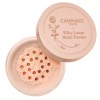Canmake [US SELLER] Canmake Silky Loose Moist Powder (3 colors)
